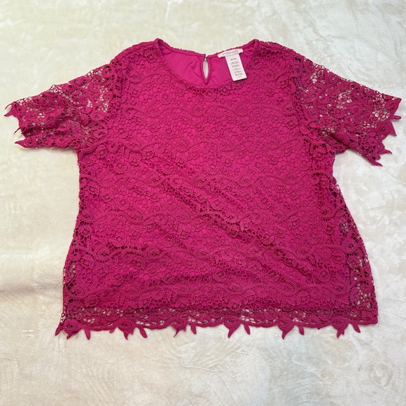 Fuchsia Lace Dressy Church Top by Philosophy - XXL - Picture 1 of 7